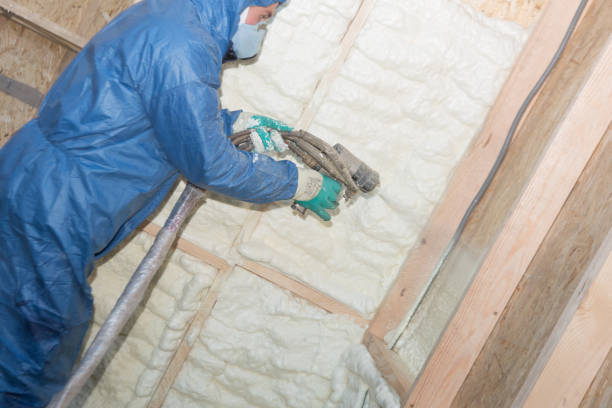 Best Basement Insulation  in Spanay, WA